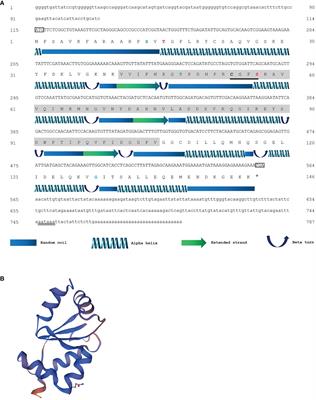 Molecular Characterization and Expression Analysis of Glutaredoxin 5 in Black Tiger Shrimp (Penaeus monodon) and Correlation Analysis Between the SNPs of PmGrx5 and Ammonia-N Stress Tolerance Trait